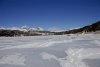 38/2 igloo josquin 8.jpg